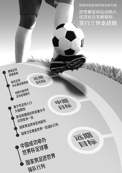 蔡振华等人解读《中国足球改革发展总体方案》