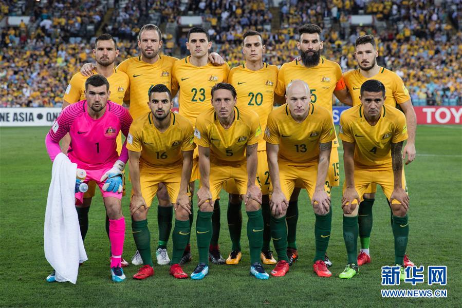 澳大利亚国家队主力阵容_2018青岛黄海队主力阵容_澳大利亚国家队主力阵容