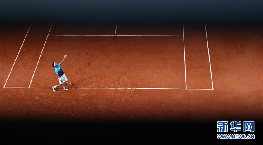 （体育）（6）网球――法网：切基纳托淘汰焦科维奇