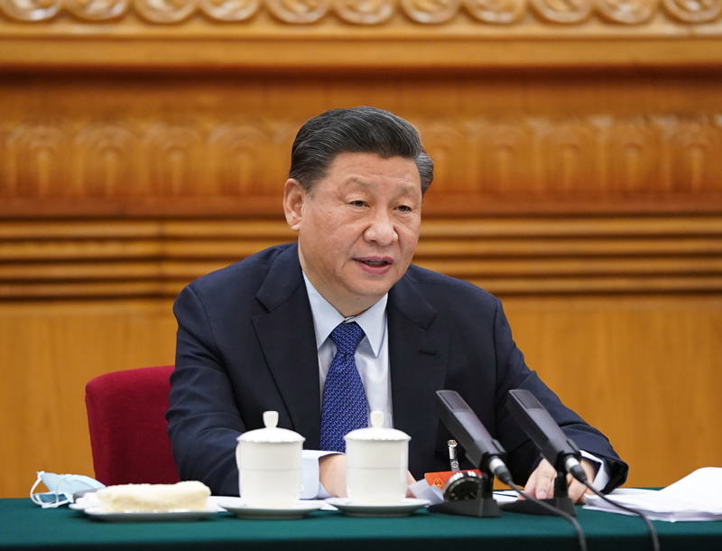 2021??日，习近平参加十三届全国人大四次会议青海代表团的审议